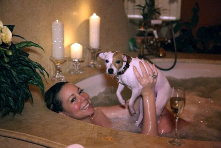 It's a celebrity dog's life | mcarchives.com